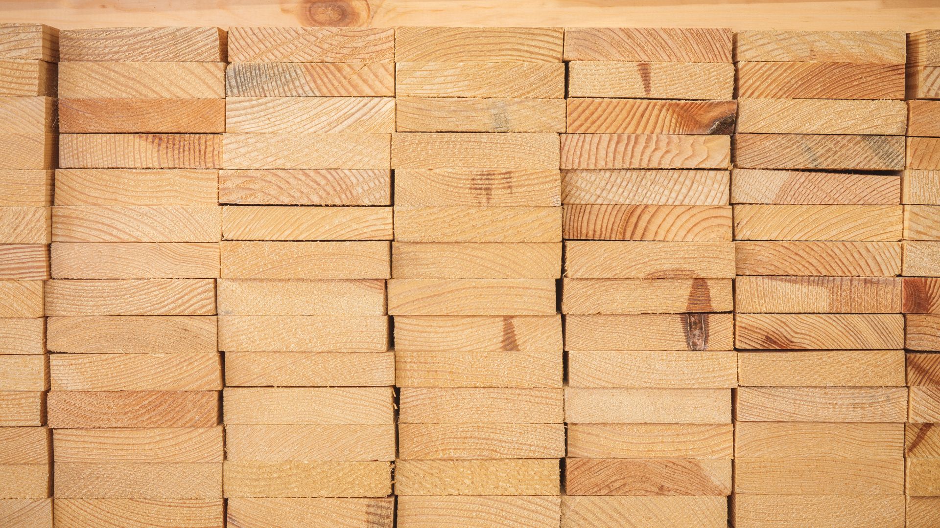 mitre 10 fence palings price christchurch